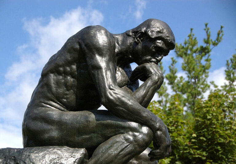 Le Penseur de Rodin contemplant une fleur