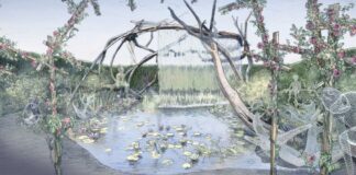 Festival des jardins 2025 à Chaumont-sur-Loire : une ode à la poésie vue d'un jardin imaginaire créée dans le cadre du festival jardin à Chaumont-sur-Loire