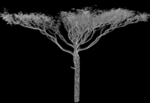 Abdessamad El Montassir, lauréat 2025 de la Bourse Villa Médicis x Fondation Louis Roederer