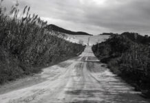 Terramata : la Sicile portée par ses fissures