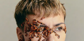 Festival Circulation(s) 2026 : comment la jeune garde digère l’obésité visuelle