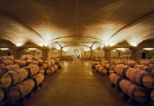 Pascaline Lepeltier : la philosophe du vin qui a conquis l’Amérique