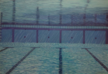 « Mémoires du paysage » : une odyssée gravée au Musée Louis Selnecq