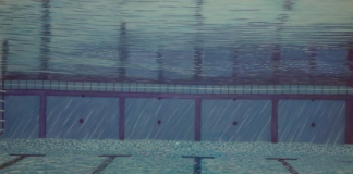 « Mémoires du paysage » : une odyssée gravée au Musée Louis Selnecq