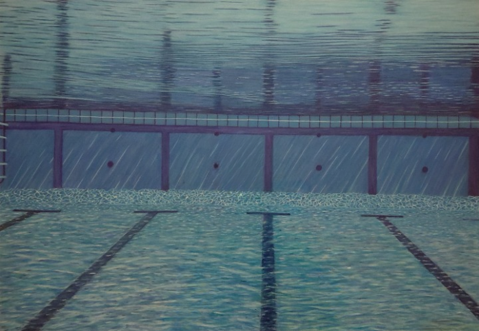 « Mémoires du paysage » : une odyssée gravée au Musée Louis Selnecq