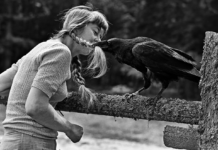 « Le Souffle de la forêt » de Simonetta Greggio : sur les traces de Simona Kossak