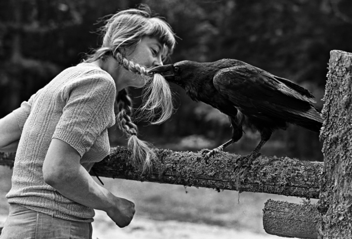 « Le Souffle de la forêt » de Simonetta Greggio : sur les traces de Simona Kossak, femme sauvage de Białowieża