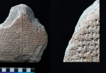 Archéologie du futur : l’IA décrypte les tablettes d’argile de l’Anatolie antique