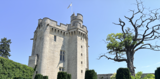 Au Donjon de Vez, Francis Briest fait dialoguer huit siècles d'histoire et la création contemporaine