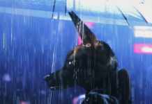 Personnage canin sous la pluie dans le film Bouchra d’Orian Barki et Meriem Bennani